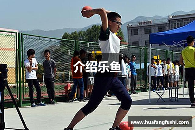 介绍乐鱼
